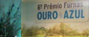 Display Furnas