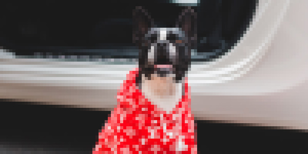 PIXEL